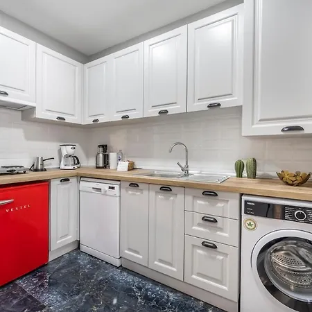 Stylishly Decorated 1br Flat With Ac In Cihangir *