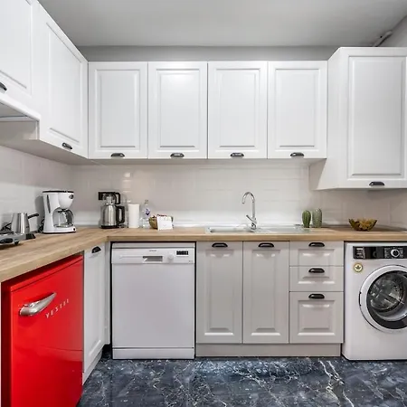 Hébergement de vacances Stylishly Decorated 1br Flat With Ac In Cihangir