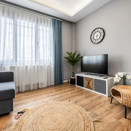 Hébergement de vacances Stylishly Decorated 1br Flat With Ac In Cihangir